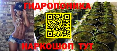 ГАЛЛЮЦИНОГЕННЫЕ ГРИБЫ Изобильный