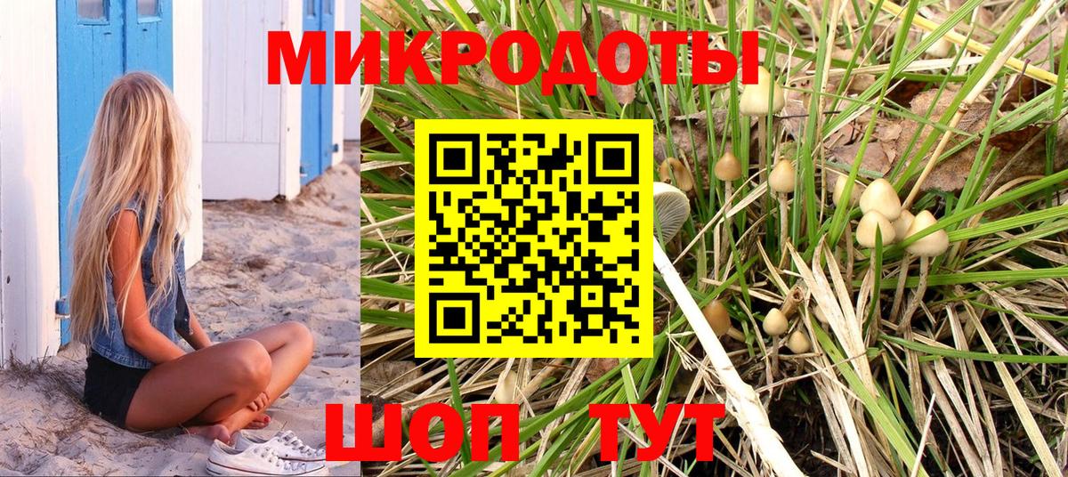 Кулебаки  Псилоцибиновые грибы ЛСД  Псилоцибиновые грибы GOLDEN TEACHER  Вход с VPN 