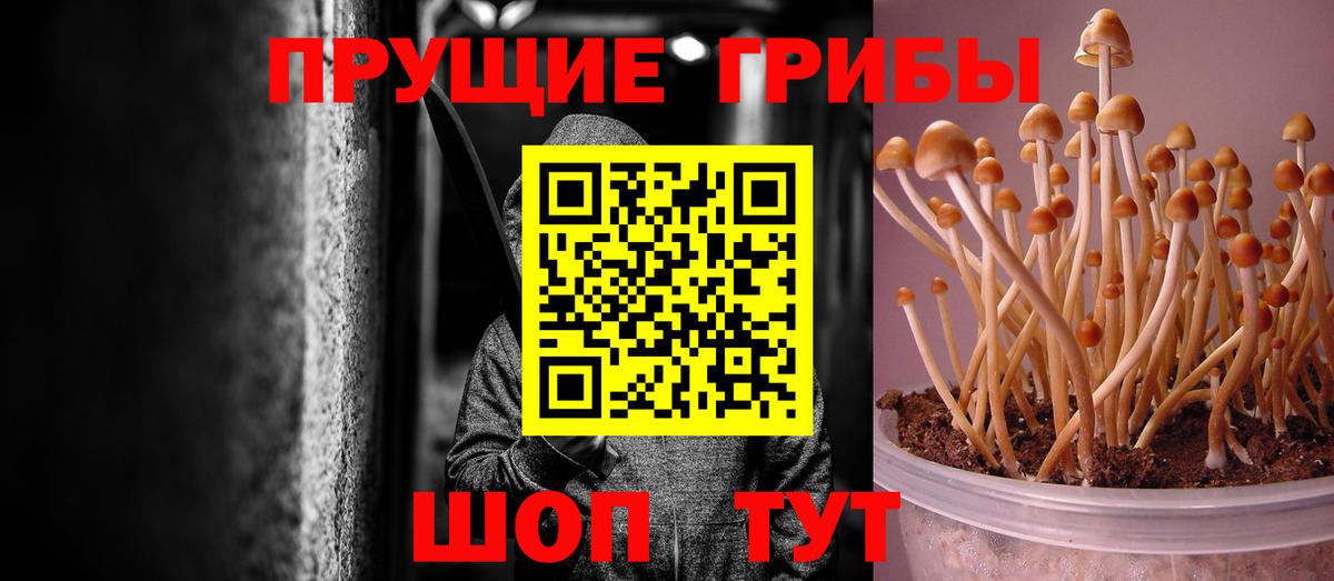 Галлюциногенные грибы GOLDEN TEACHER Кулебаки