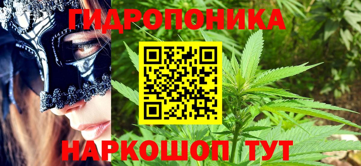 Бошки марихуана THC 21% Кулебаки